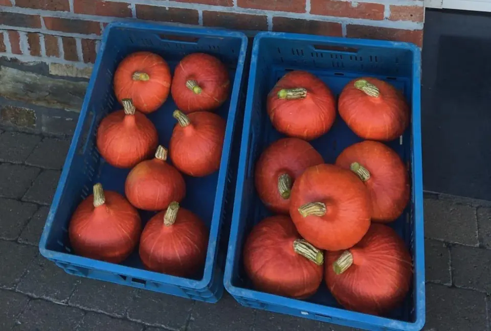 Recht van bij de boer